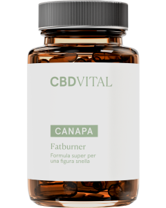 Canapa Fatburner