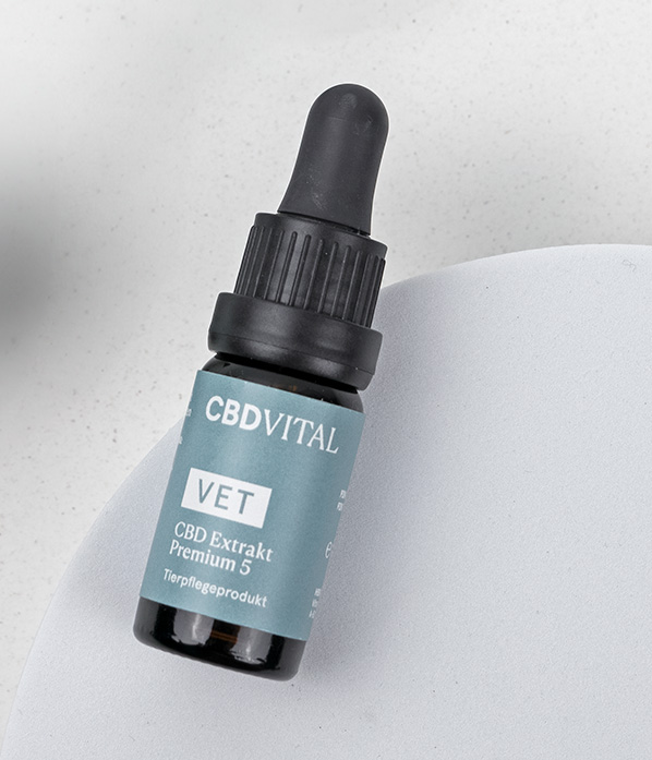 Olio di semi di canapa biologico spremuto a freddo con CBD Olio di semi di canapa biologico spremuto a freddo con CBD